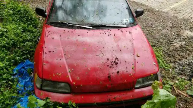 1989 honda civic crx 2 dr si hatchback