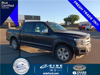 2020 Ford F-150 platinum