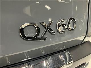 2025 Infiniti QX60 sensory