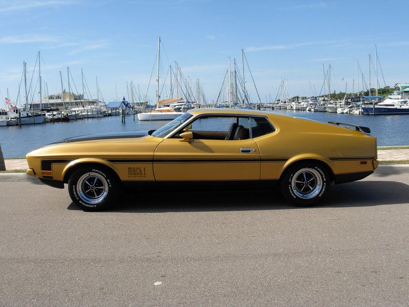 ford mustang mach i tribute