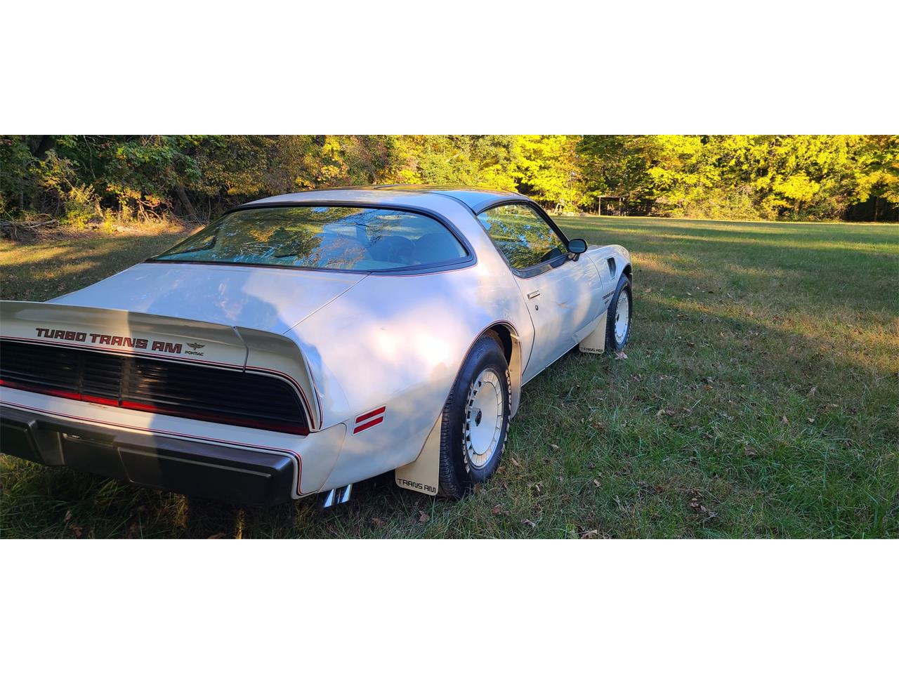 1980 pontiac firebird trans am