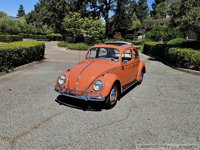 1958 volkswagen beetle in sonoma, california