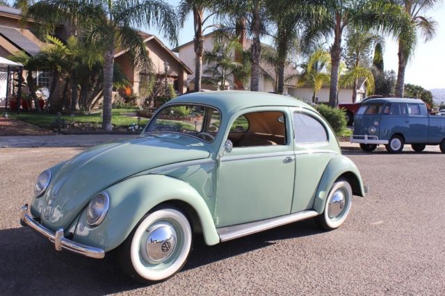 volkswagen beetle - classic vw