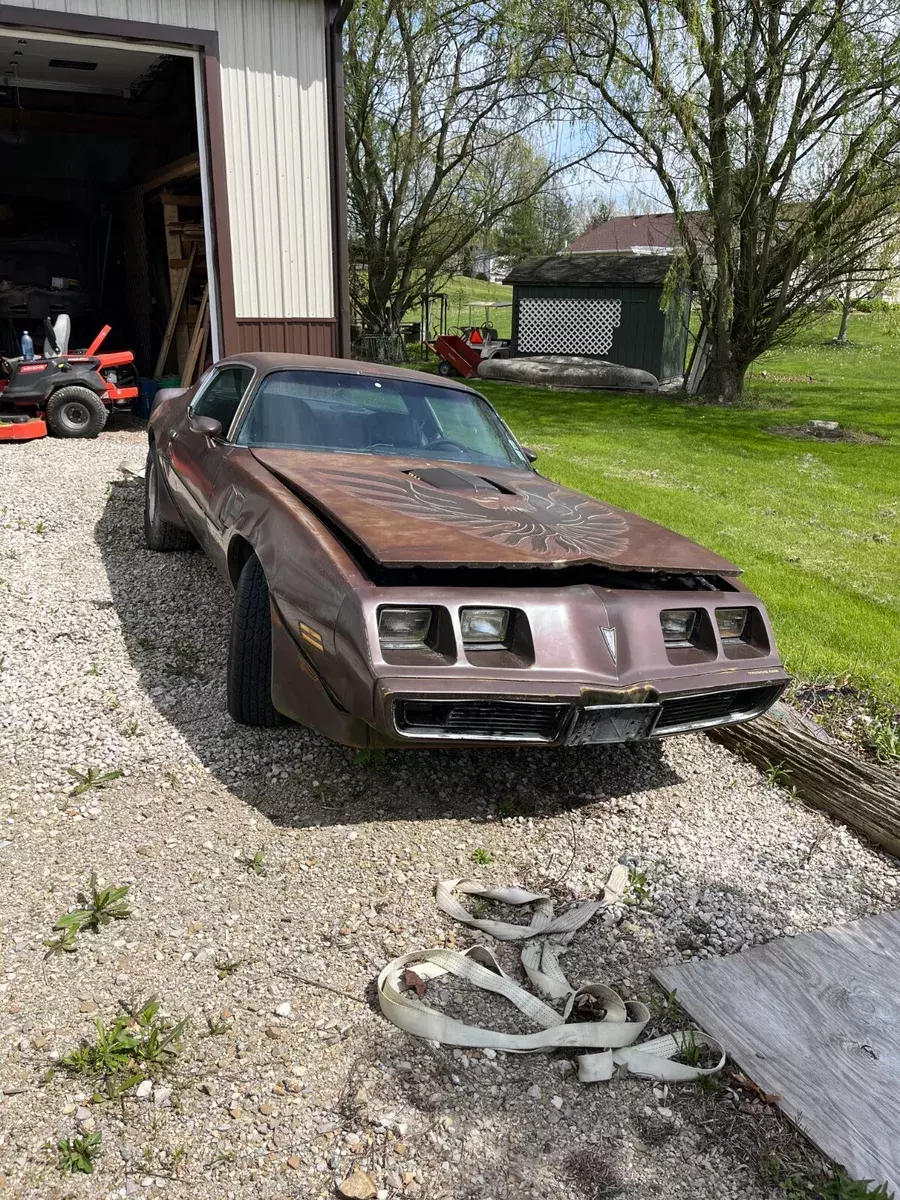 1979 pontiac firebird ta in need of complete restoration, make it your own!