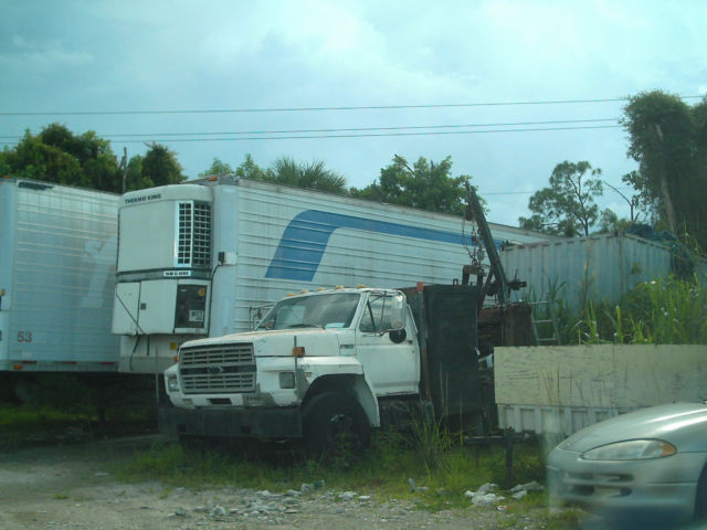 ford f-800