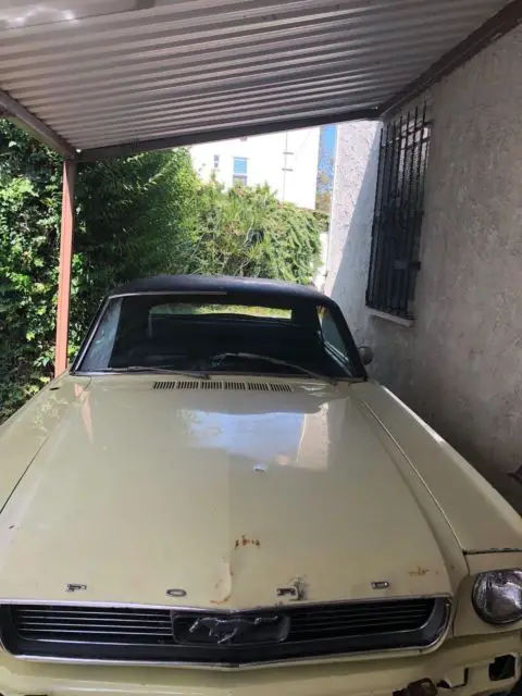 1966 mustang springtime yellow