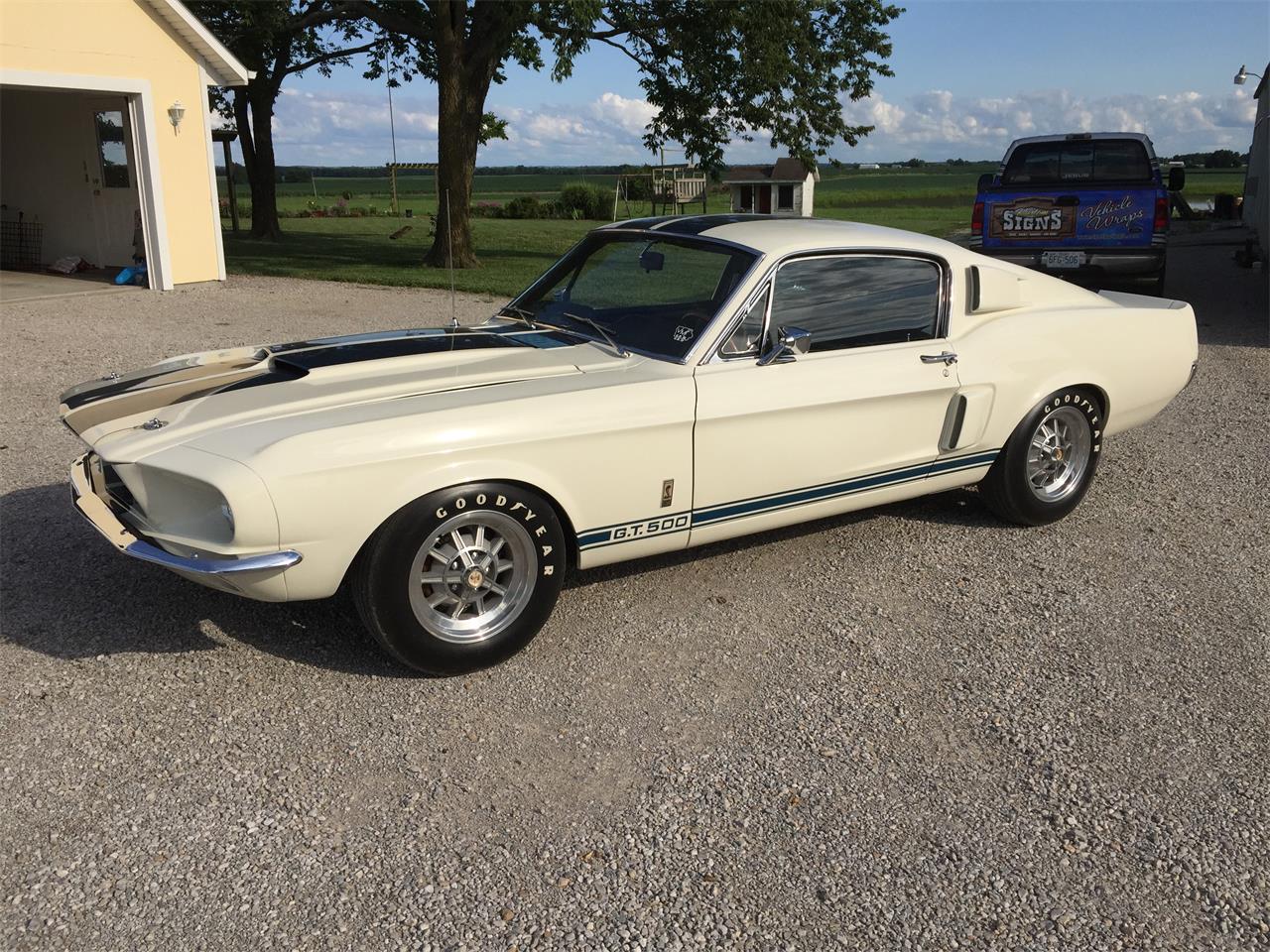 1967 shelby gt500