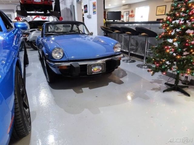 1976 convertible used manual