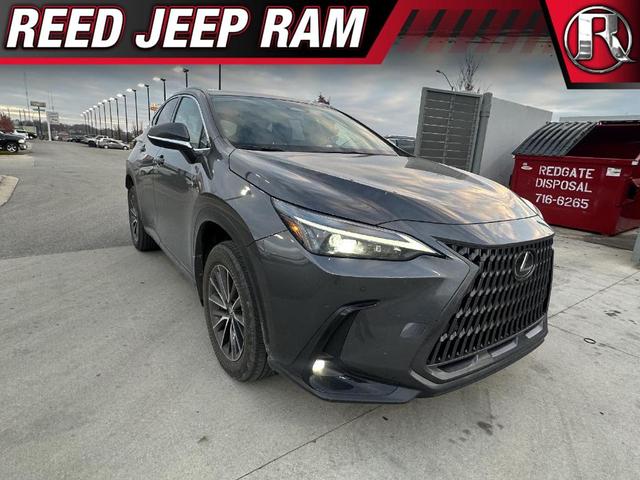 2023 lexus nx 350 premium