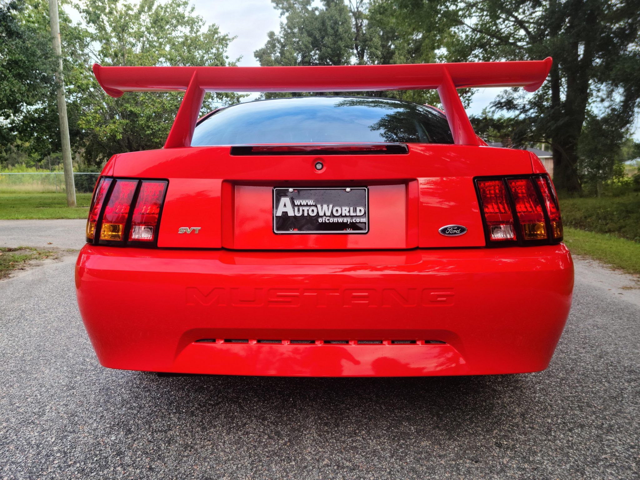 2000 ford mustang cobra r