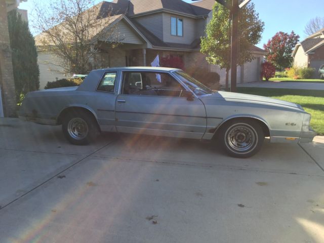 1981 monte carlo landua
