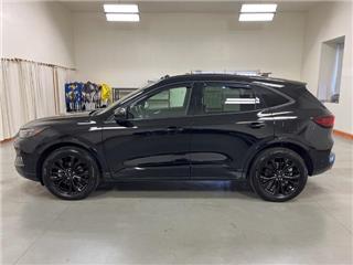 2023 Ford Escape st-line elite