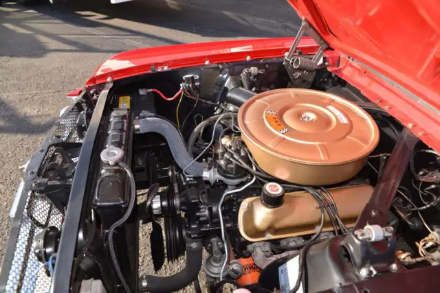 1965 mustang fastback - complete restoration - stunning car