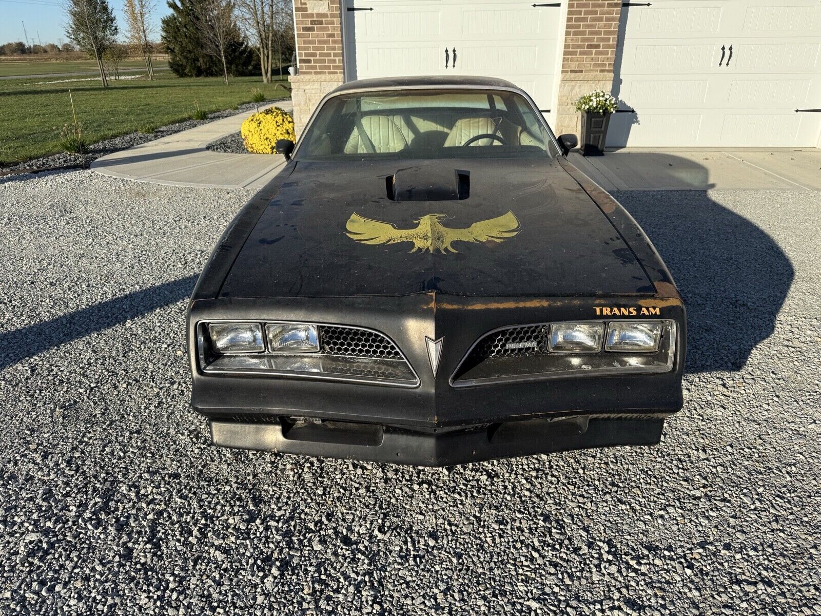 1977 pontiac trans am
