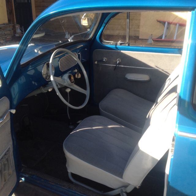 1956 oval window beetle