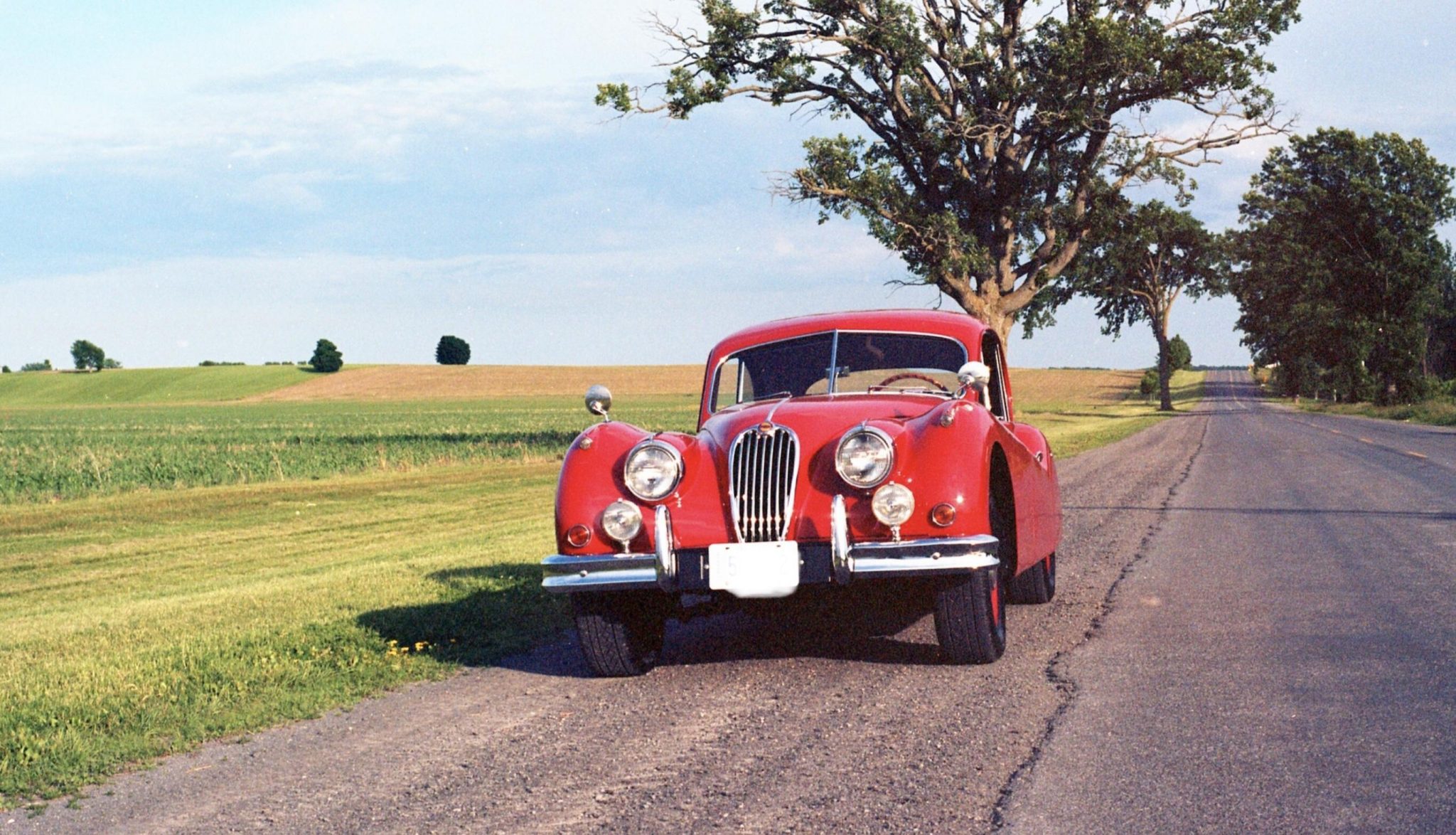 1955 jaguar xk140 fixed head coupe