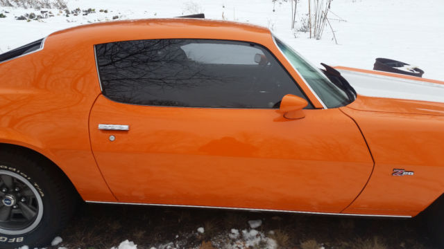 beautiful hugger orange with white stripes z28