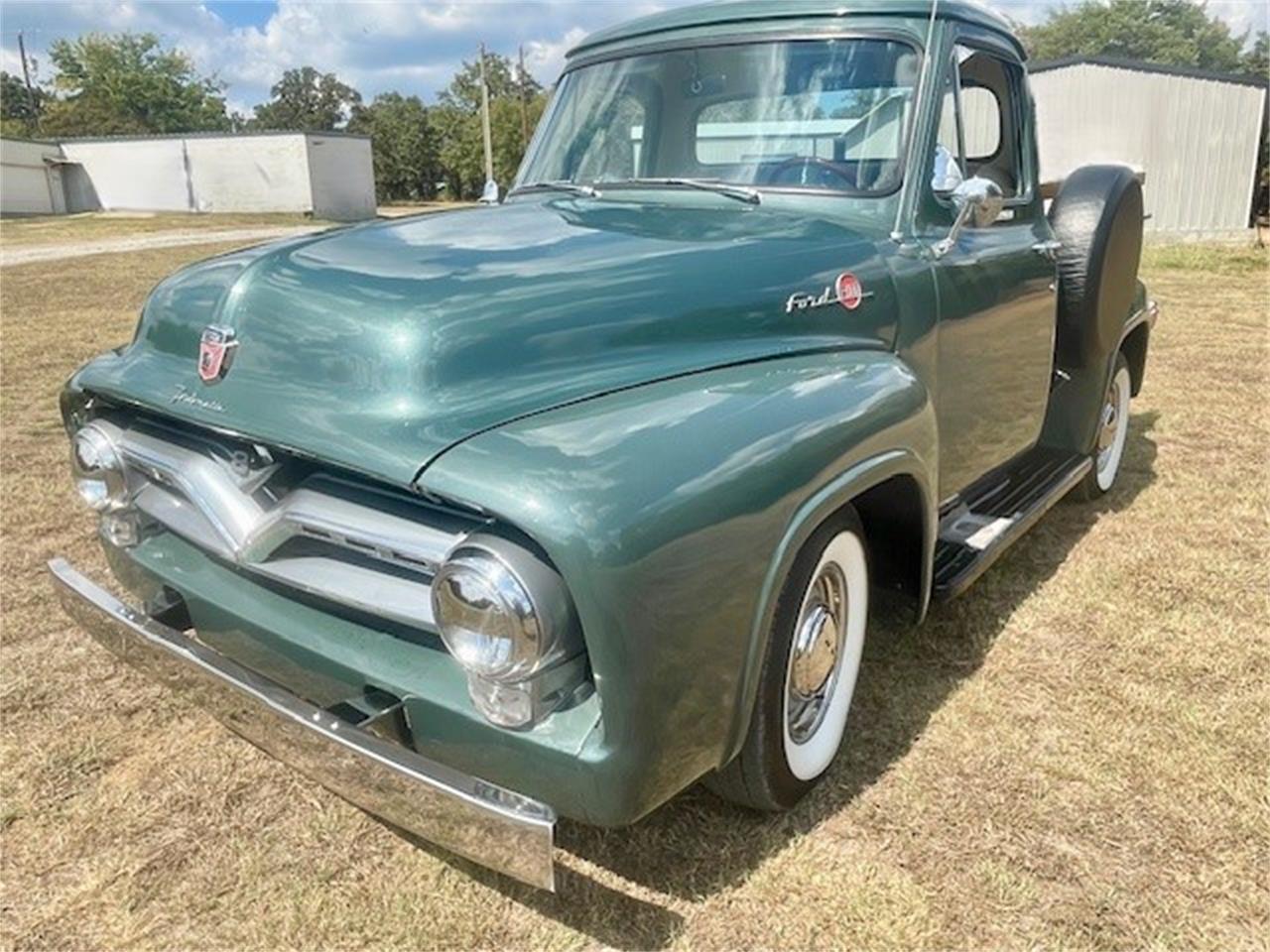 1955 ford f100