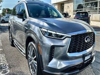 2023 Infiniti QX60 sensory