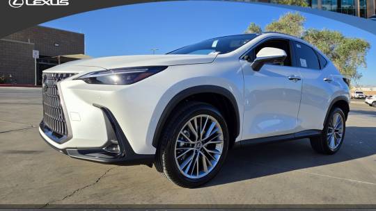 2025 Lexus NX