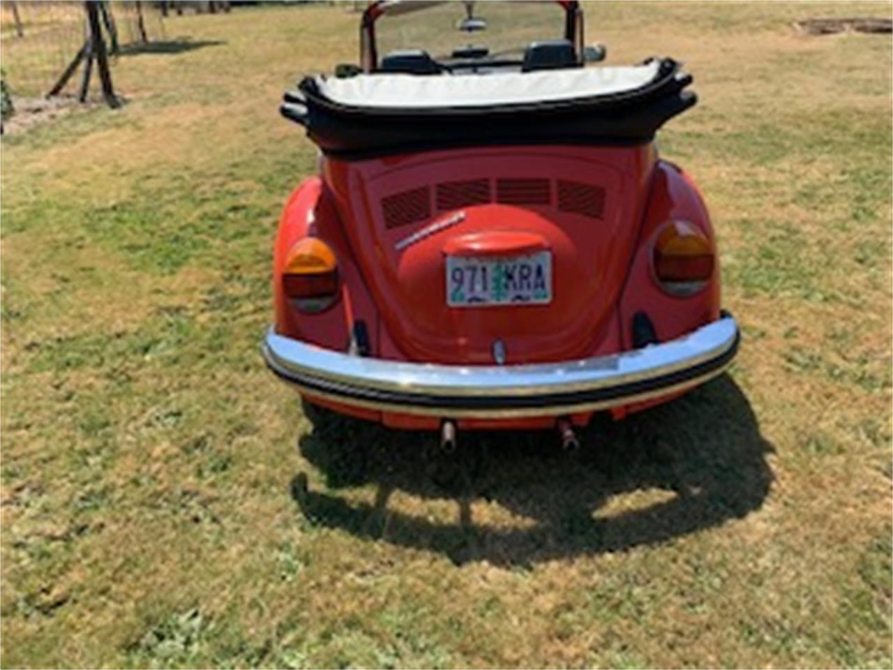 1976 volkswagen beetle
