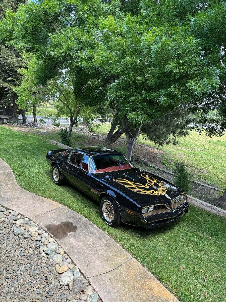 1977 pontiac firebird black trans am