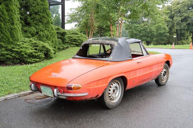 1966 alfa romeo duetto