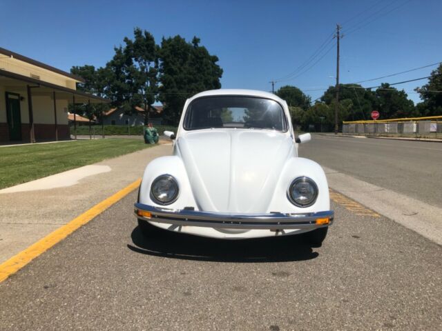 custom 69 vw beetle