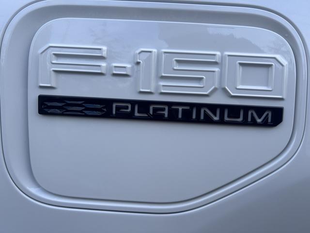 2023 ford f-150 lightning platinum