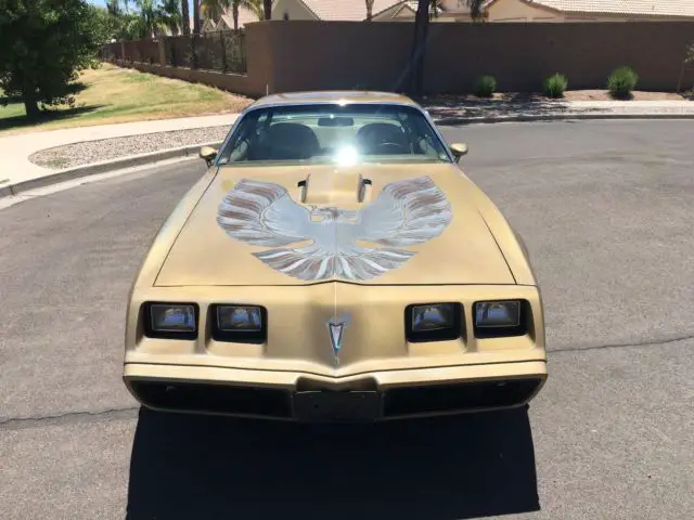 1979 firebird trans am survivor all original