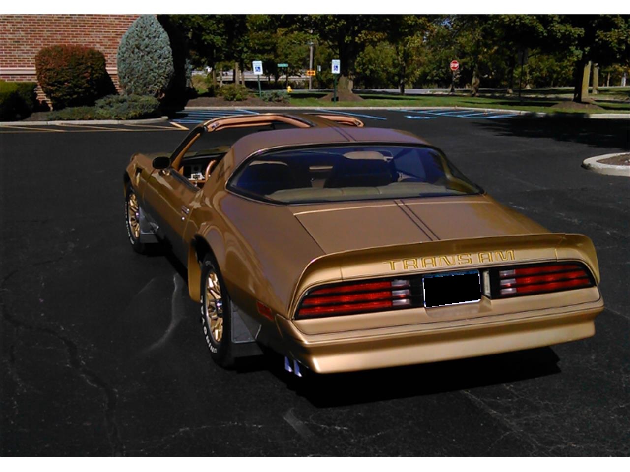 1978 pontiac firebird trans am se