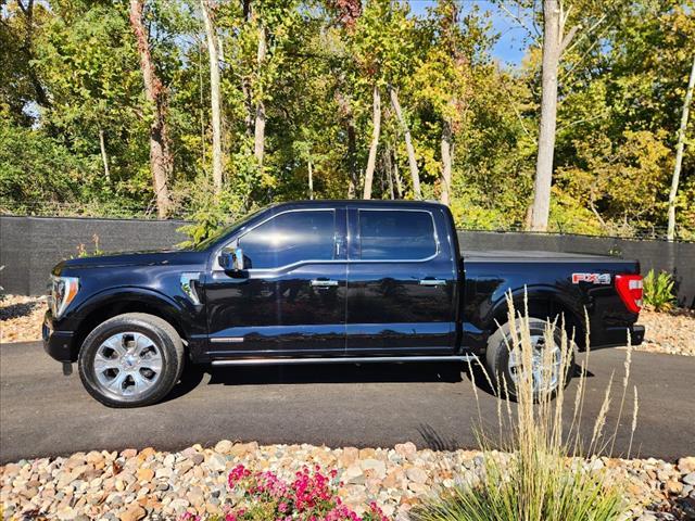2021 ford f-150 platinum