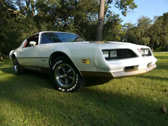 1978 firebird formula "rust free survivor"
