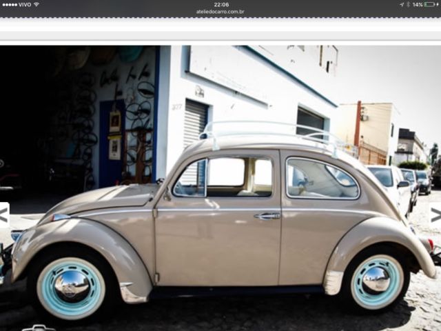 beetle