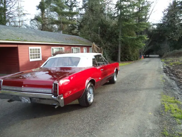 beautiful classic 1966 oldsmobile cutlass convertible,rust free,retired show car