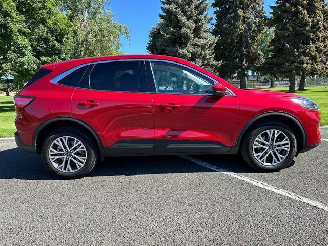 2022 ford escape sel