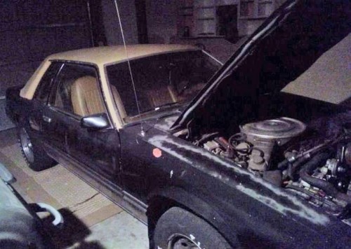 1979 ford mustang for sale in colorado by owner