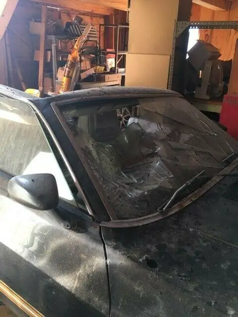 1969 ford mustang mach 1 barn find