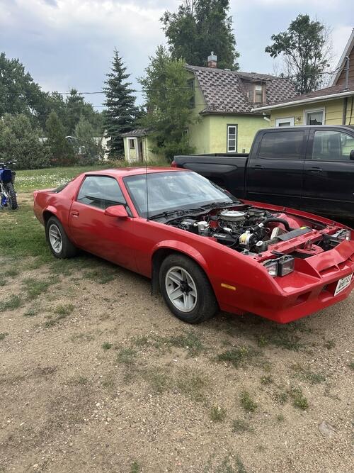 1984 camaro