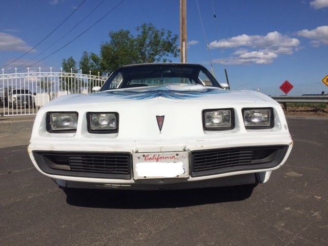 1980 pontiac firebird turbo trans am