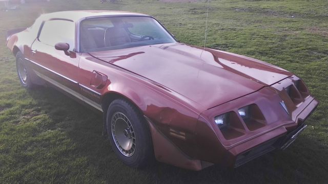 1980 pontiac trans am survivor paint and body new motor and trans 83k 80 1979 79