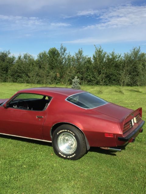 1974 pontiac firebird 1970 1971 1972 1973 1975 1976 rat rod formula trans am