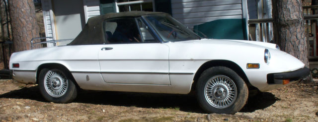alfa romeo spider 1977 buy to restore or as parts car - red springs - carbs