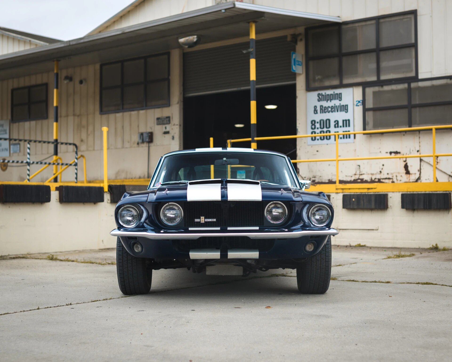 shelby mustang gt500