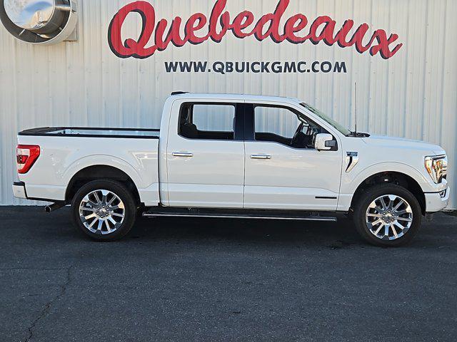 2023 ford f-150 limited