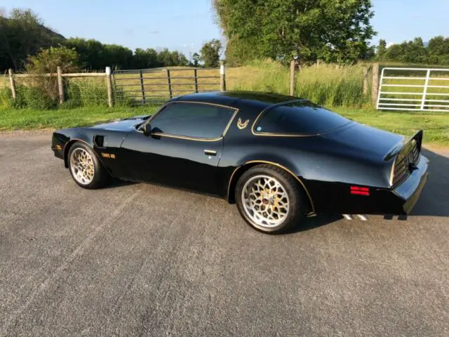 1977 pontiac trans am y82 bandit edition