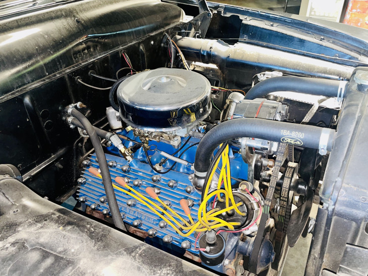 ford custom