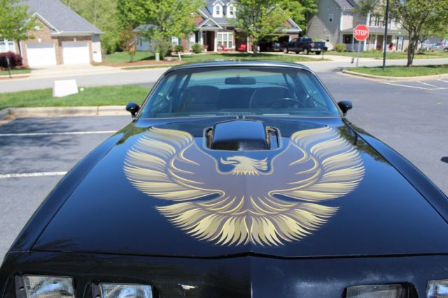 1979 pontiac trans am special edition y84