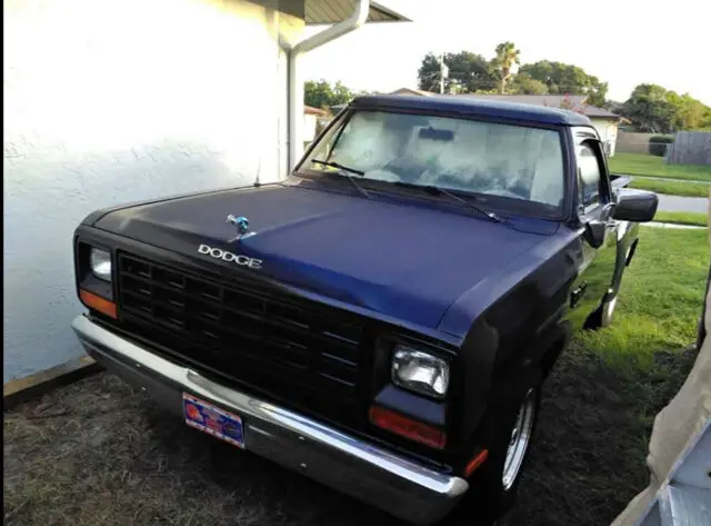 1981 dodge d150 1/2 ton pickup