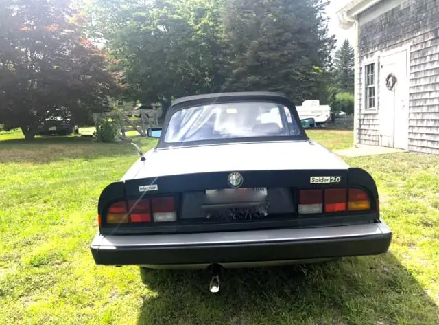 1984 alfa romeo, spider veloce, convertible, great condition!